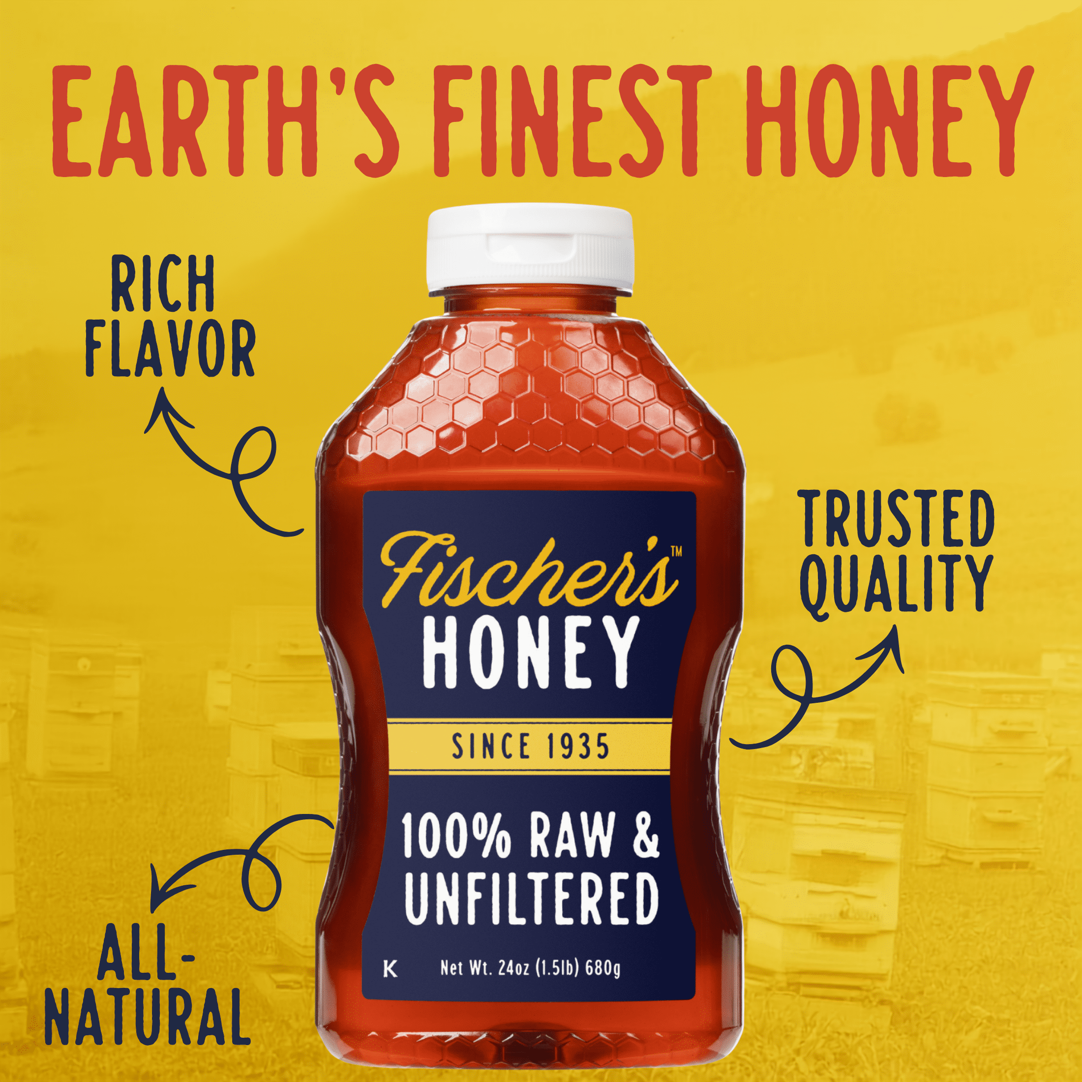 (12 pack) Fischers Honey, 24oz Raw and Unfiltered, Premium, Pure, Squeeze Bottle