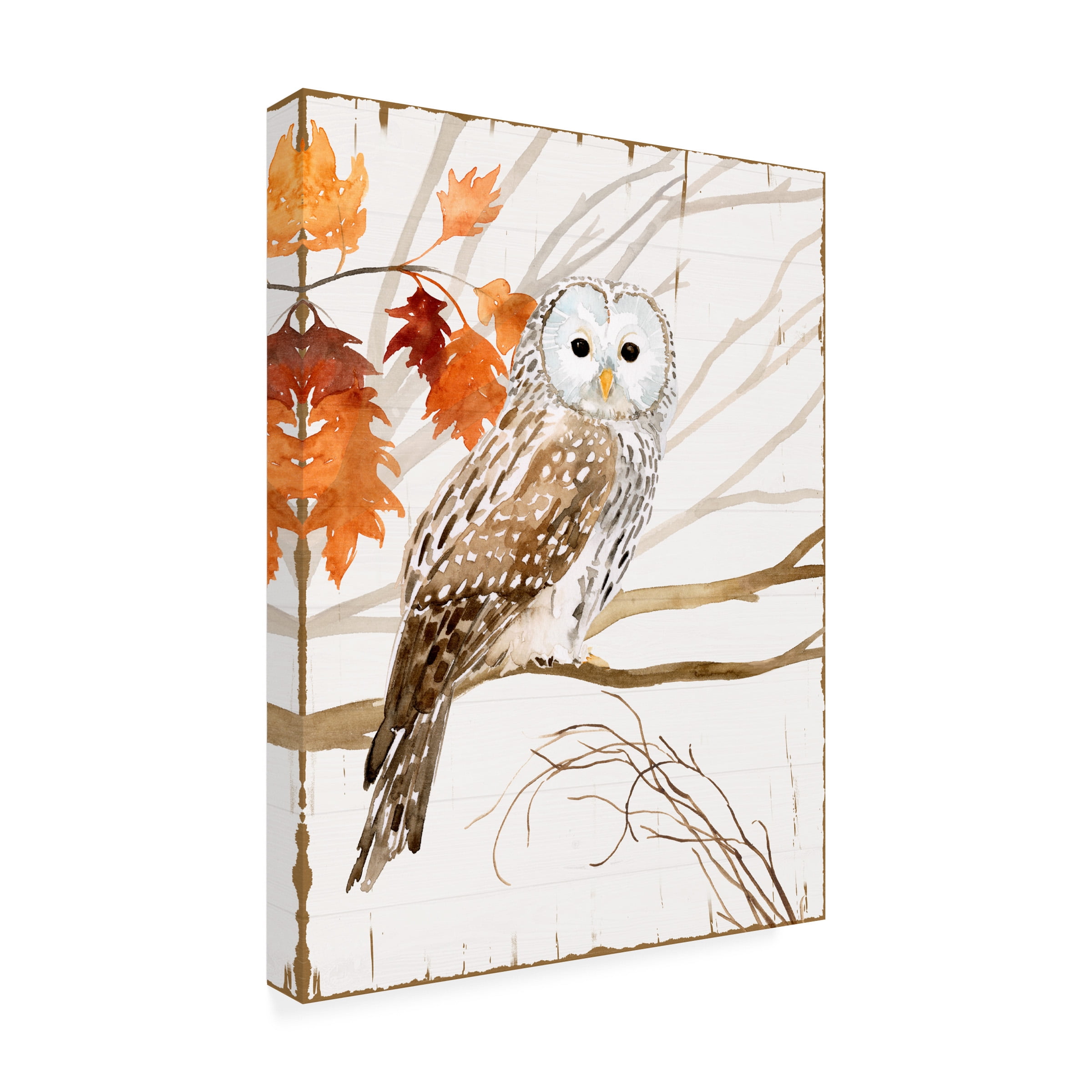 Victoria Borges 'Harvest Owl I' Canvas Art