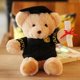 thumbnail image 2 of ours En Peluche Avec Lunettes-25 Cm, ​​Diplme Et Chapeau De Docteur - Peluche Pour La Remise Des Diplmes, Le Lyce Ou L'universit, 2 of 5