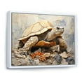 thumbnail image 2 of Designart "Turtle In Minimalist Style" Animals Turtle Floater Framed Wall Art Prints, 2 of 5