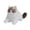 As shown, variant on Knisume Calico Cat Plush with Bib — Lifelike Stuffed Animals for Display, Cute Plushies with Hello Kitty Plushies Style, Weighted Collectible Companion