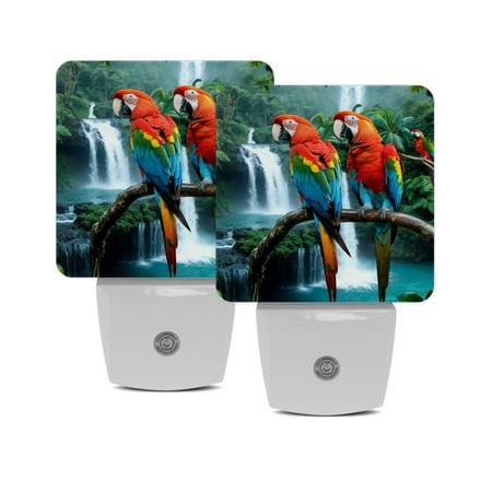 

Night Lights Plug Into Wall [2 Pack] Night Light for Kids LED Nightlight with Dusk to Dawn Sensor for Bathroom Decor Children Room Tropical Rainforest Animal Parrot Couple