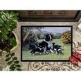 thumbnail image 3 of Border Collie Puppies with Momma Doormat 24x36, 3 of 4
