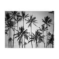 thumbnail image 1 of Trademark Fine Art 'Palm Heaven Fabrikken' Canvas Art by Design Fabrikken, 1 of 3
