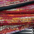 thumbnail image 4 of Alfombra Ramanta Home de algodón Chindi, 91 x 152 cm, multicolor, 4 of 9