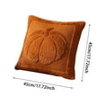 thumbnail image 4 of Pumpkin Throw Pillow Covers 18*18, Cute Fall Halloween Pillow Cases for Sofa, Autumn Decor Soft Cushion Covers for Living Room Bedroom(Beige, 1PCS), 4 of 5