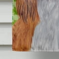 thumbnail image 4 of Carolines Treasures SC9314CHF 40 x 40 In. Cavalier Spaniel St. Patricks Day Shamrock Portrait Flag Canvas, House Size, 4 of 4