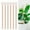 6PCS stakes without garden tools, variant on 6PCS Electroculture Plant Stake Long Copper Garden Stakes Electro Culture Antenna Copper Garden Tools Copper Coil Electronic Planting for Growing Garden Plant Vegetable, High Yield