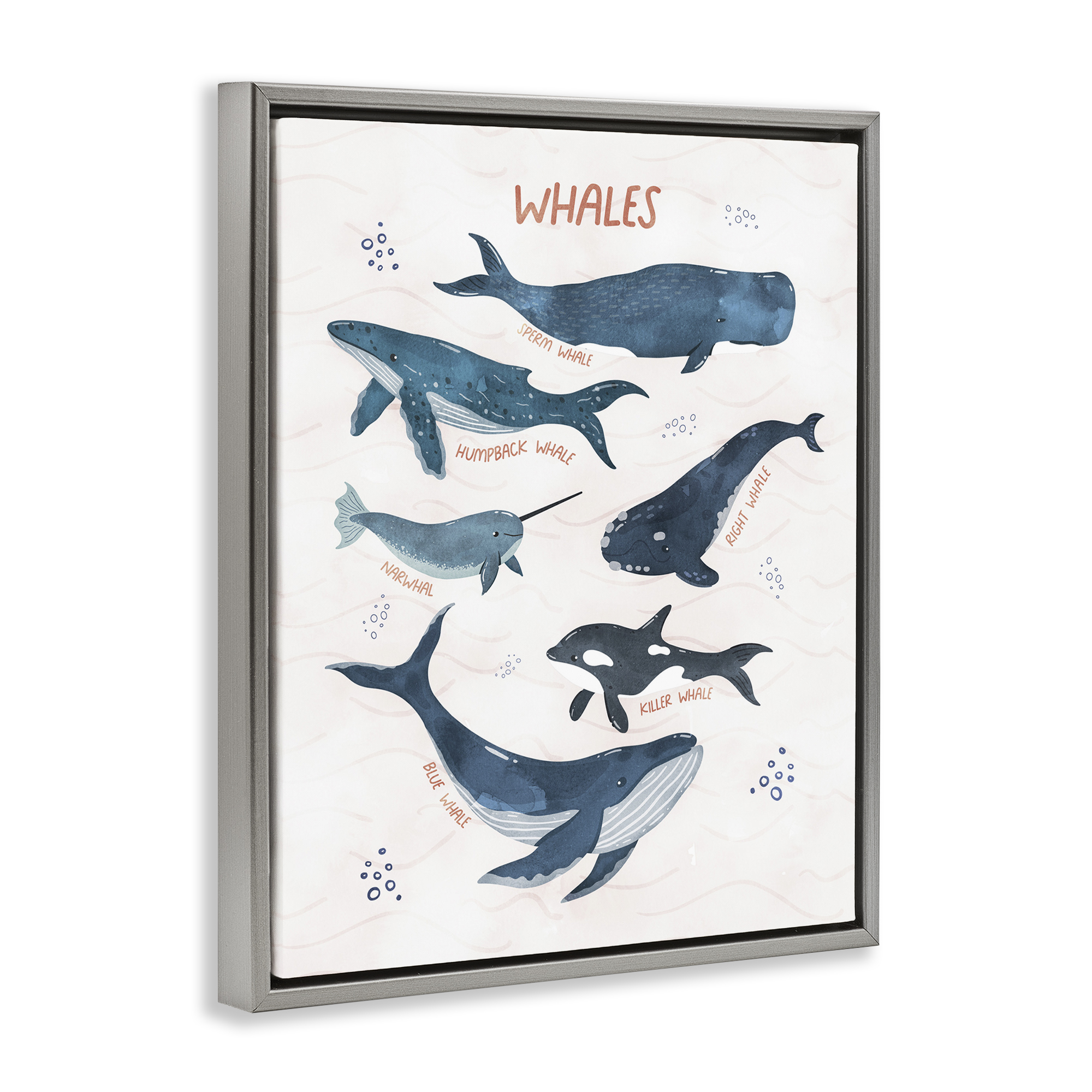 Stupell Industries Whales of the World Animals & Insects Painting Gray Floater Framed Art Print Wall Art, 17 x 21