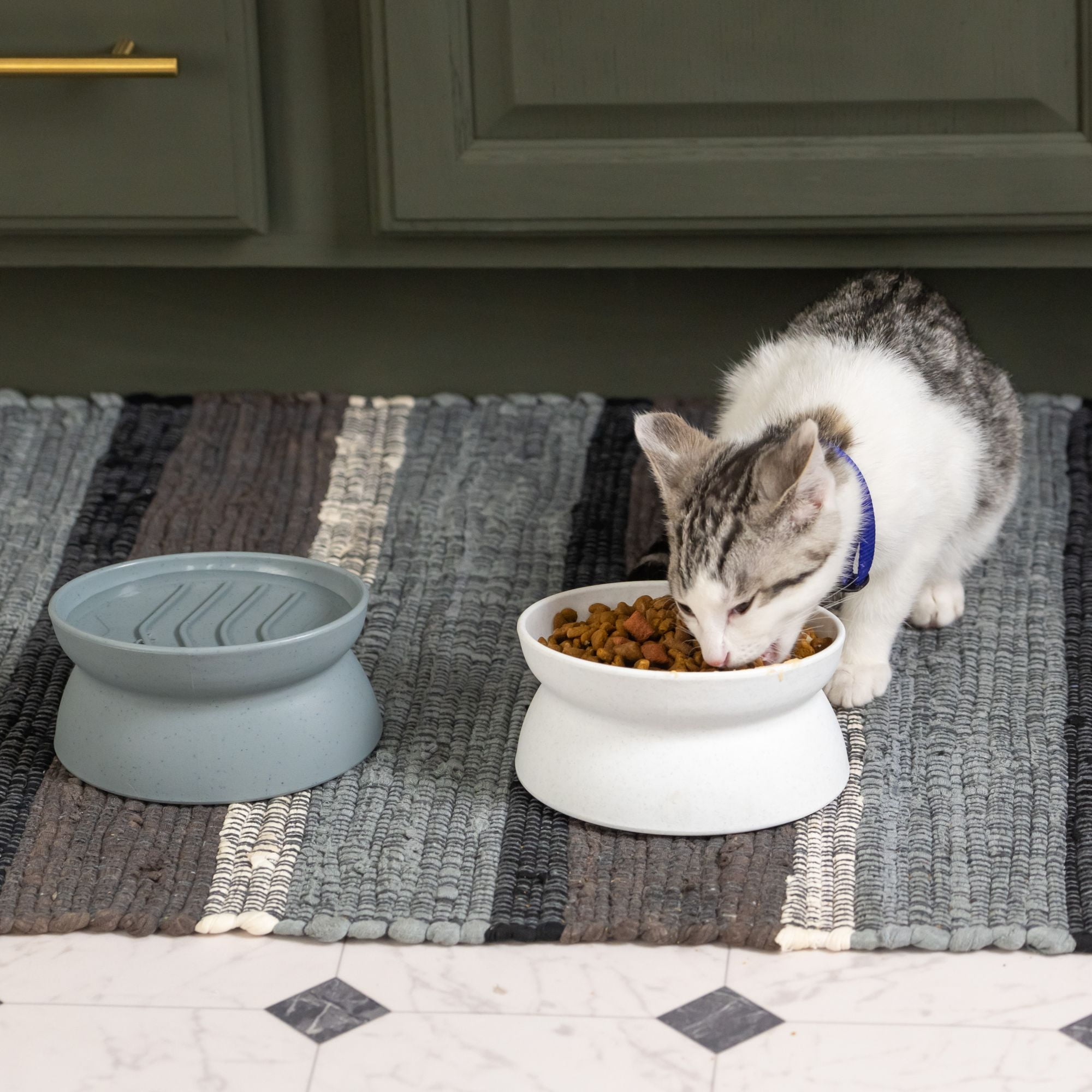 Kitty City Raised Slow-Eat Cat Bowls, Whisker-Friendly Elevated Feeding Set, 2-Pack, Small