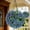 Blue, variant on Dianli Solar Hanging Flower Ball Lights Outdoor Waterproof LED Decorative Globe Lanterns For Patio Garden Porch, Rechargeable Solar String Accent Lighting For Yard Decor