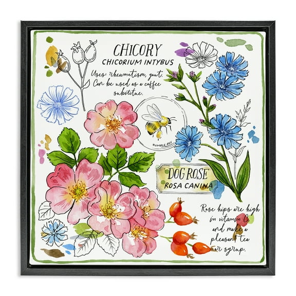 Stupell Industries Varied Herbs Benefits Plants & Flowers Painting Black Floater Framed Canvas Art Print Wall Art, 18 x 18