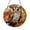 Acrylic 3.5 Inch, variant on Decorative Bird Window Hanging – Owl Fall Glass Art