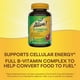 thumbnail image 4 of ¡Complementa Nature's Way Alive! Gomitas B-Complex, 60 unidades, 4 of 9