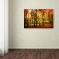 thumbnail image 4 of Trademark Fine Art Philippe Sainte-Laudy Brilliant Fall Color Canvas Wall Art - 22x32, 4 of 4