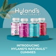 thumbnail image 4 of Kids Naturals, Organic Elderberry Plus, Natural Berry, Ages 2+, 48 Vegan Gummies, Hyland's, 4 of 9