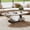 Grey, variant on YWEN Modern Coffee Table, Faux Marble Top Tea Table with Stainless Steel Base, Center Cocktail Table for Living Room, Apartment, Easy Assembly,49.20 Inch Oval