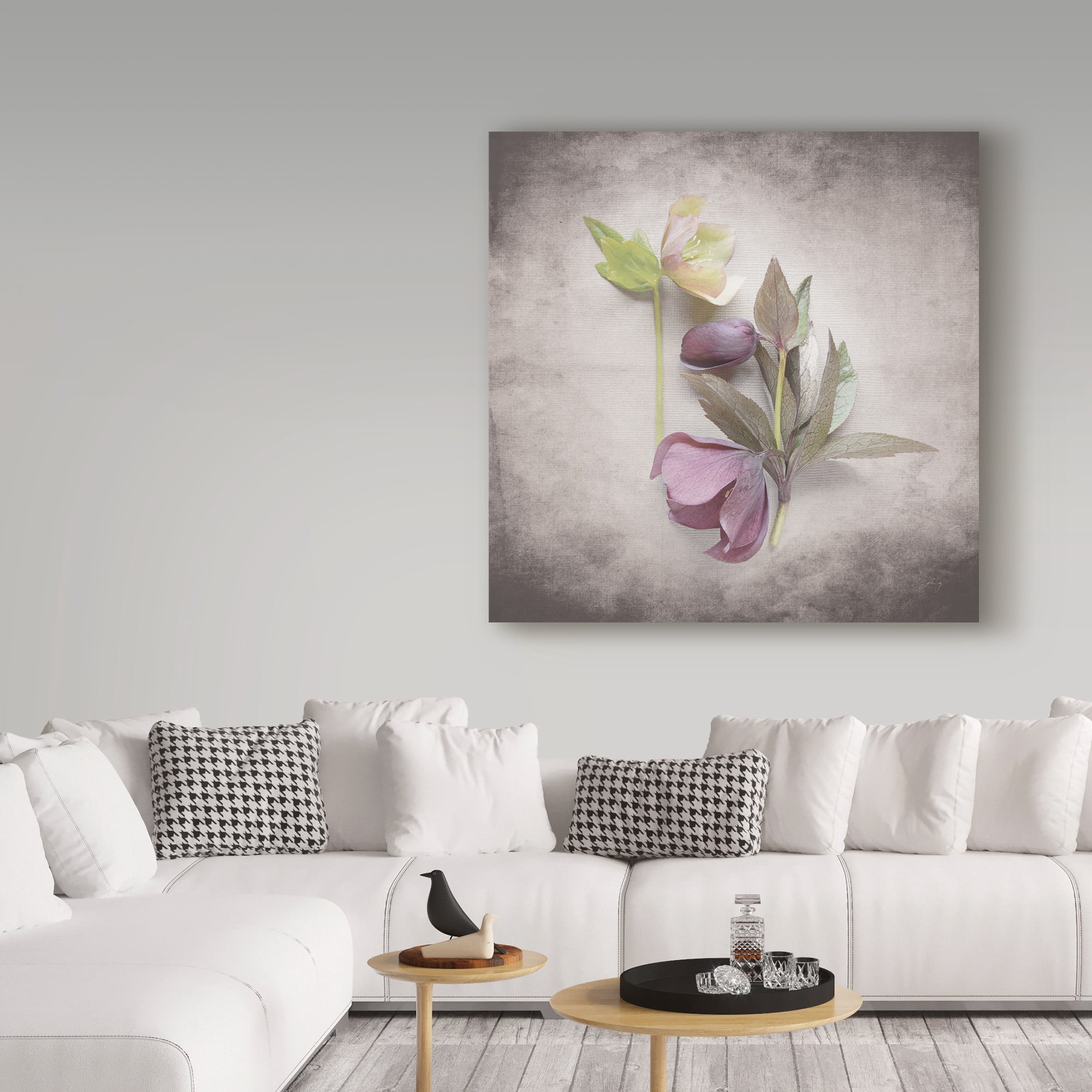 Trademark Fine Art 'Vintage Hellebore Study VII' Canvas Art by Felicity Bradley
