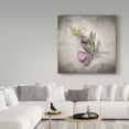 thumbnail image 3 of Trademark Fine Art 'Vintage Hellebore Study VII' Canvas Art by Felicity Bradley, 3 of 3