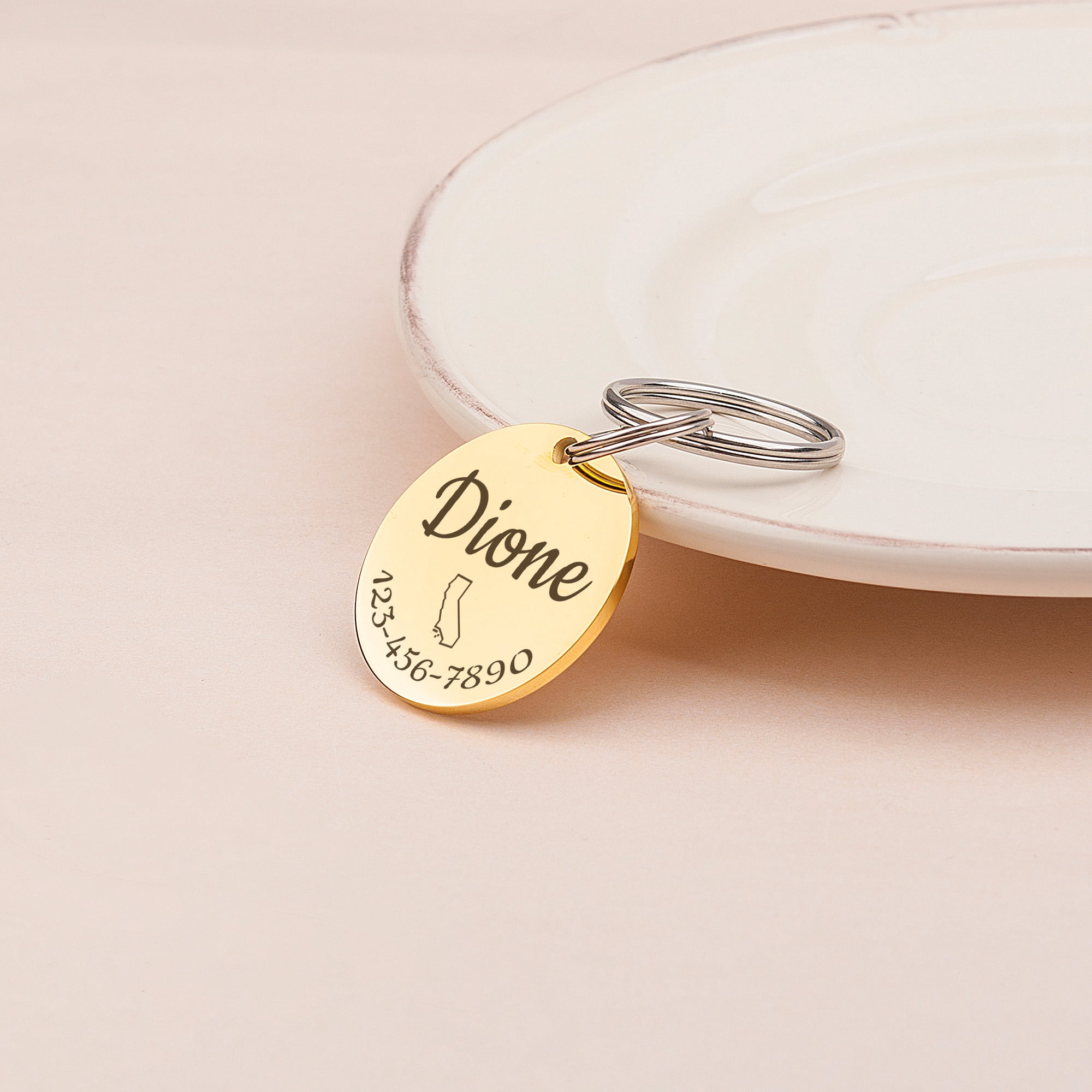 Anavia Stainless Steel Metal Round Name - State - Phone Number Birthday Holiday Christmas Engraved Dog Cat ID Tag, Gold