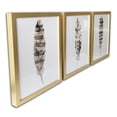 thumbnail image 3 of Set of Three Three Neutral Brown Feathers Framed Wall Art Set, 3 of 5
