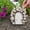 Multicolor6, variant on Resin Miniature Fairy Gnome Home Windows and Welcome Door with Fairy Lantern,Floral Outdoor Decor For Patio Yard For Mom Garden Kit Door And Window For Trees Tree Stump Decor