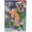 Schnauzer Christmas Green Boots, variant on Schnauzer Christmas Garden Flag 12.5x18 Inch - Festive Dog in Santa Hat & Sweater, Holiday Outdoor Decor for Yard Patio (Double Sided)