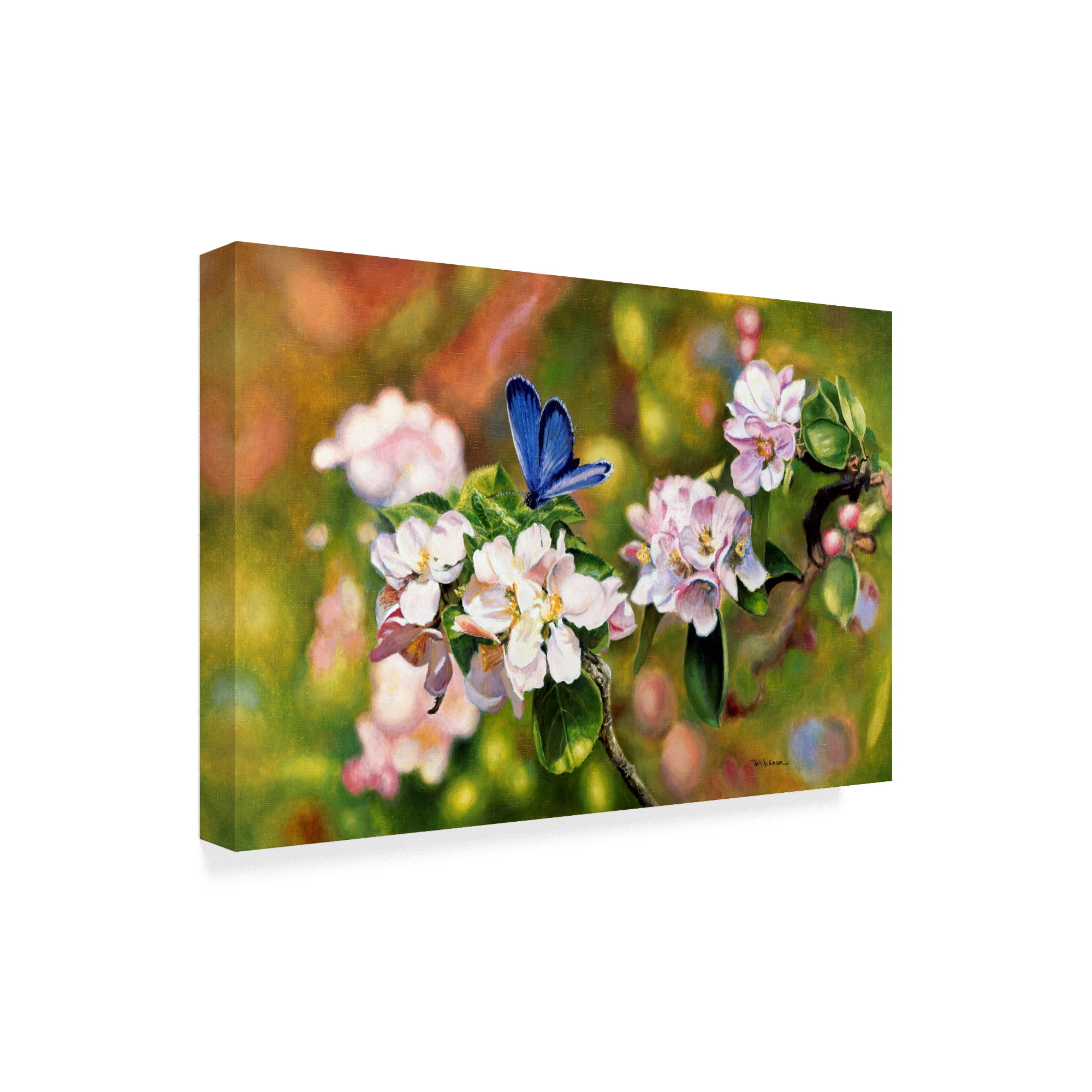 Trademark Fine Art 'Blue On Pink' Canvas Art by Bill Makinson
