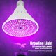 thumbnail image 2 of Luz de crecimiento de bombilla E27 luz de crecimiento de plantas lámpara de cultivo de espectro completo de 290 LED para mantener plantas de interior ANGGREK Otros, 2 of 8