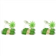 thumbnail image 1 of 120X Palillos de árbol de Verde Palillos Paraguas de Papel, Palillos de Dientes, Palillos de Sombrilla de CóCtel Hechos Una Mano para Decoraciones de CóCteles, 1 of 4