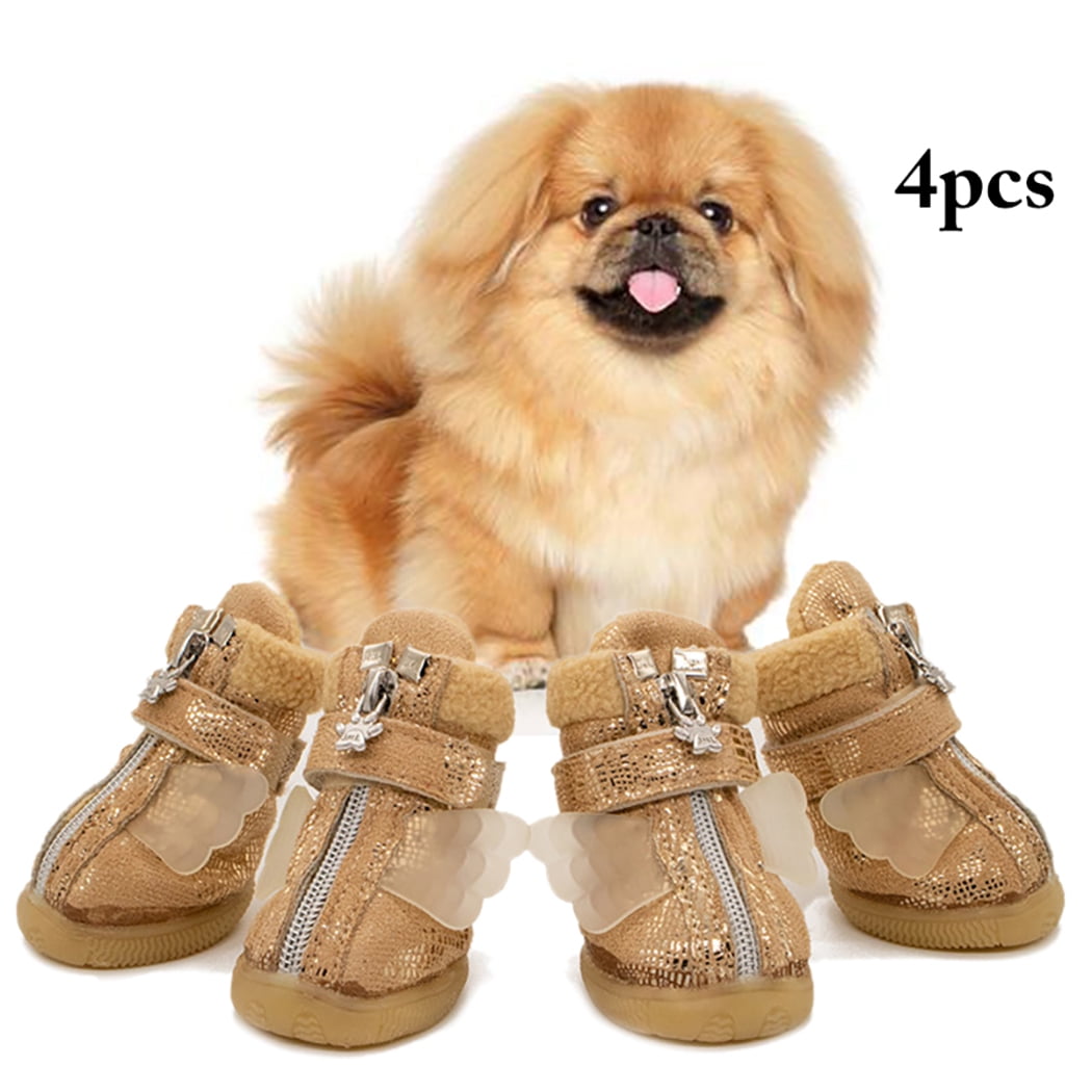 Dogs and shoes online