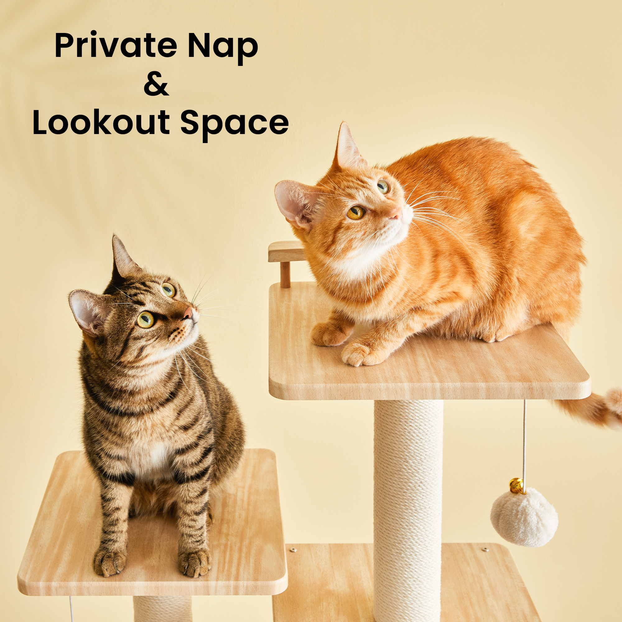 MWPO Modern Cat Tree - 64 inch Cat Tower for Indoor Cats, Multi-Level Cat Condo with 7 Fully Wrapped Scratching Posts, 2 Perches, Hammock, Removable Pad & Dangling Balls-Light Brown