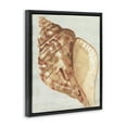 thumbnail image 3 of Stupell Industries Traditional Tan Conch Shell Black Floating Frame Canvas Art, 25 x 31, by June Erica Vess, 3 of 8