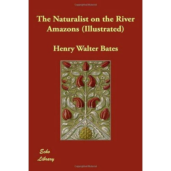 Le Naturaliste sur la Rivière Amazones