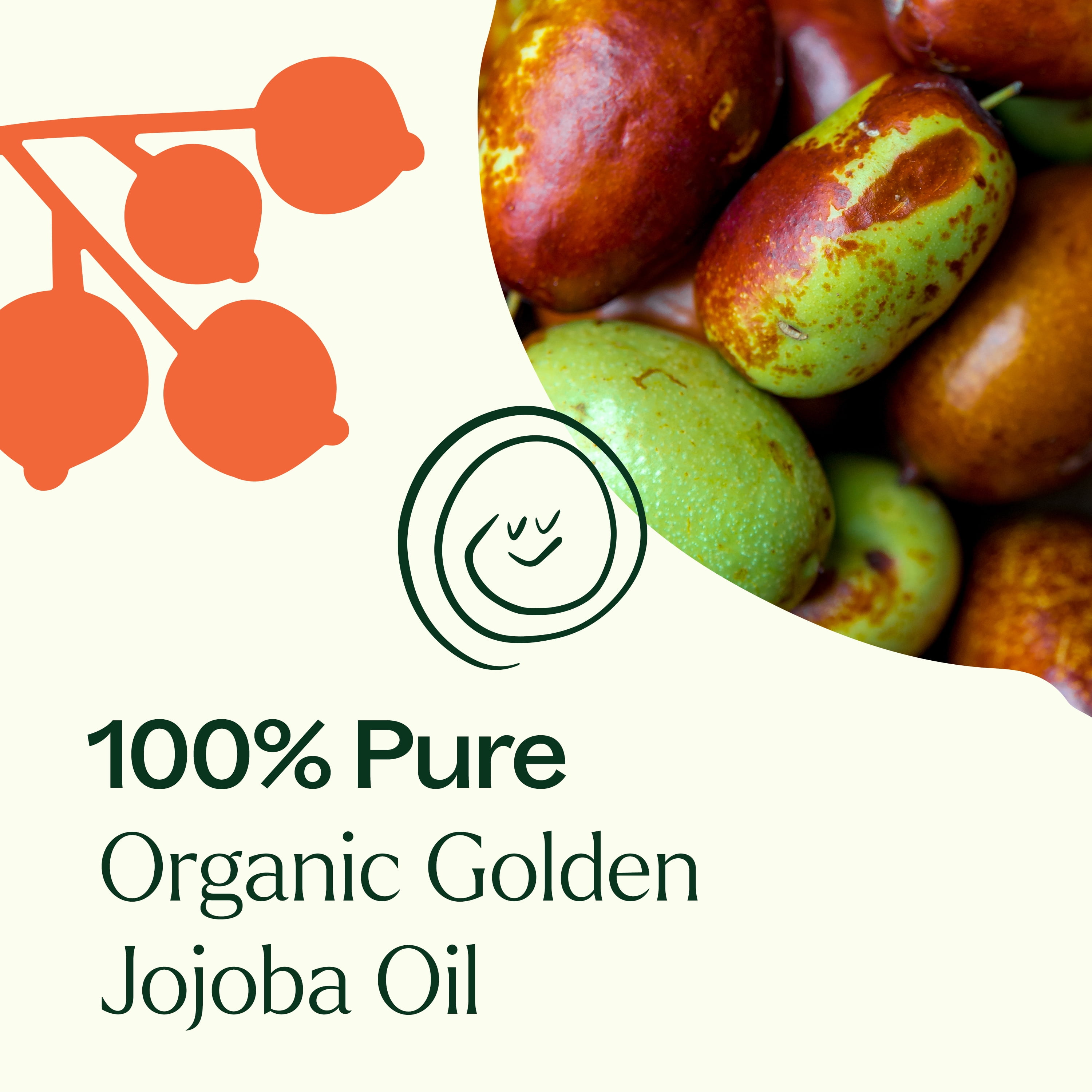 Plant Therapy Organic Jojoba Golden Carrier Oil 16 oz Base Oil for Aromatherapy, Essential Oil or Massage use