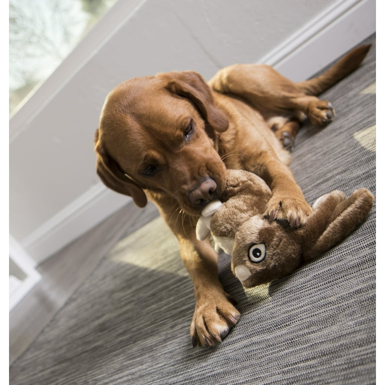 Go Dog Wildlife Rabbit with Chew Guard Technology Durable Plush Squeaker Dog Toy Go Dog Wildlife Rabbit with Chew Guard Technology Durable Plush Squeaker Dog Toy
