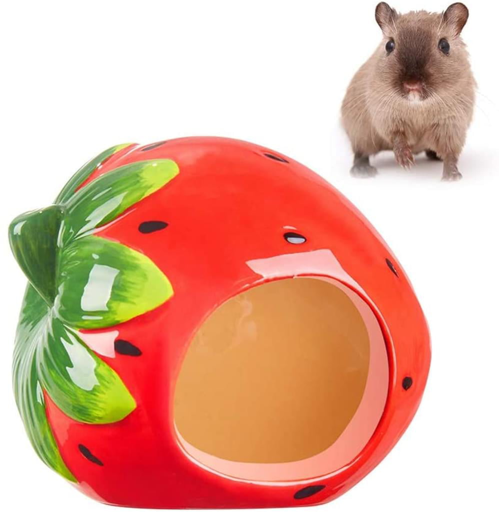 Gerbil & Dwarf Hamster Mini Adorable Shell Shape Igloos Nest For Syrian Hamster Mouse Chinchilla Small Animal Pet Sand Bath House Rat Ceramic Hamster Hideout