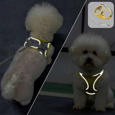 EcoNest Soft Mesh Dog Harness And Leash Set For Walking Summer Step In Vest Harness Reflective Bands Adjustable No Pull Pet Supplies For Small Dogs And House Cats