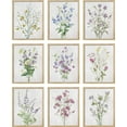 thumbnail image 2 of PixonSign Framed Canvas Print Wall Art Set - Colorful Forest Wildflower Bouquet Posters - Set of 9 Boho Floral Botanical Fine Art Vintage Wall Décor for Living Room, Bedroom - 8"x10" Natural, 2 of 5