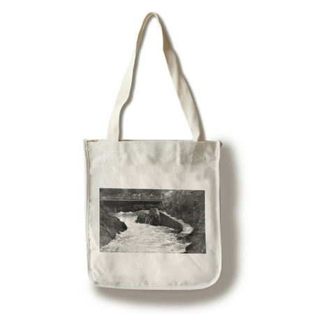 - Ketchikan, Alaska - Ketchikan Creek Falls, Fish Ladder Photo (100% Cotton Tote Bag - Reusable)