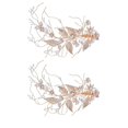 thumbnail image 1 of 2 piezas Boda accesorios para el cabello nupcial decoración de joyas aderezo adorno para el cabello accesorio de moda para la novia esquí esquí Gafas de esquí, 1 of 5