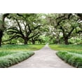 thumbnail image 2 of Burdick, Chuck 24x17 White Modern Wood Framed Museum Art Print Titled - Garden Entrance, 2 of 4