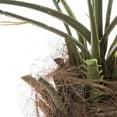 thumbnail image 4 of Vickerman 6' Artificial Potted Pheonix Palm Tree., 4 of 8