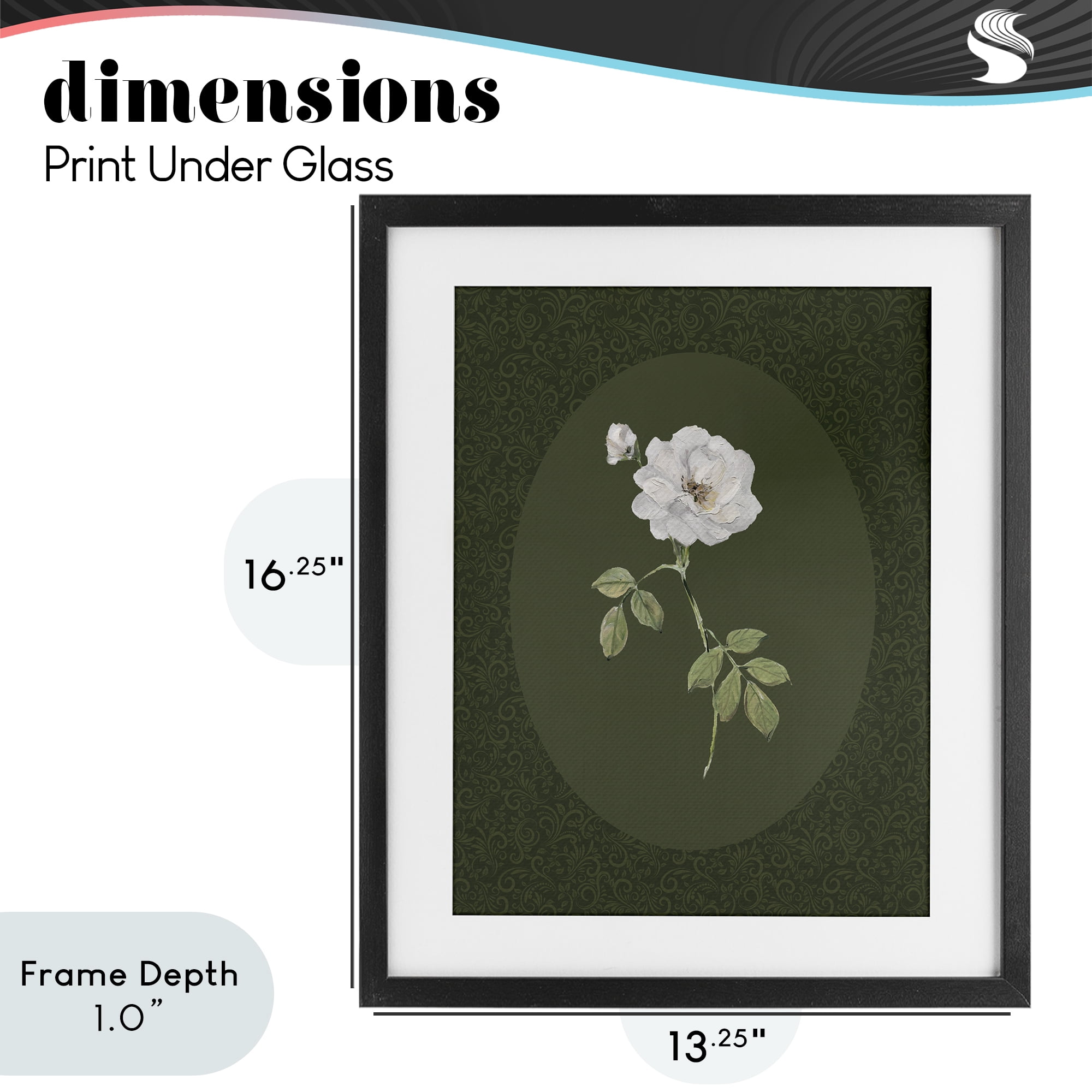 Stupell Industries White Rose on Emerald Black Framed Print Under Glass, design by Sally Swatland