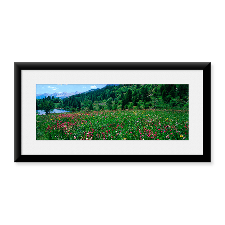 Framed Art Print, Wildflowers in a field at lakeside by Panoramic Images, 25-7/8" x 9-7/8"