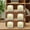 Warm White, variant on 6/9/12 Pack Flameless Battery Candles with Remote & Auto Timer, Realistic Flame Effect for Christmas, Wedding, Bathroom Decor (White/Warm White)