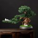 thumbnail image 4 of Simulación de árbol de bonsái artificial, plantas falsas, decoración de bonsái, planta verde falsa de 13 pulgadas, maceta interior for sala de estar, decoración del hogar, 4 of 4