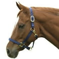 thumbnail image 7 of Intrepid International 1ZAS35RD Nylon Horse Halter, Yearling - Red, 7 of 7