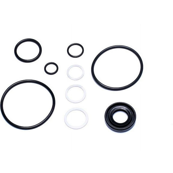 Power Steering Pump Seal Kit - Compatible with 1996 - 2005, 2008 - 2009 Ford Taurus DOHC 1997 1998 1999 2000 2001 2002 2003 2004