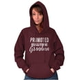 thumbnail image 3 of Promoted Grandma Announcement Cute Hoodie Sweatshirt Women Brisco Brands 4X, 3 of 6